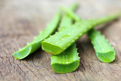 Inflamed Skin? Go For Aloe Vera!