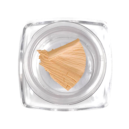 Concealer (Medium) Sample Size