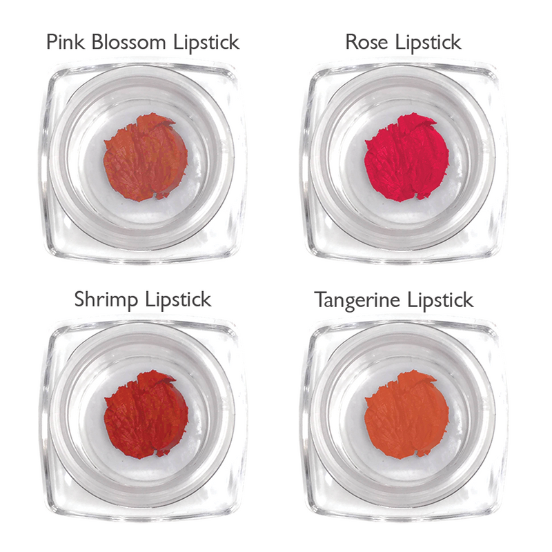 Lipstick Sample Kit: Coral & Orange Tones