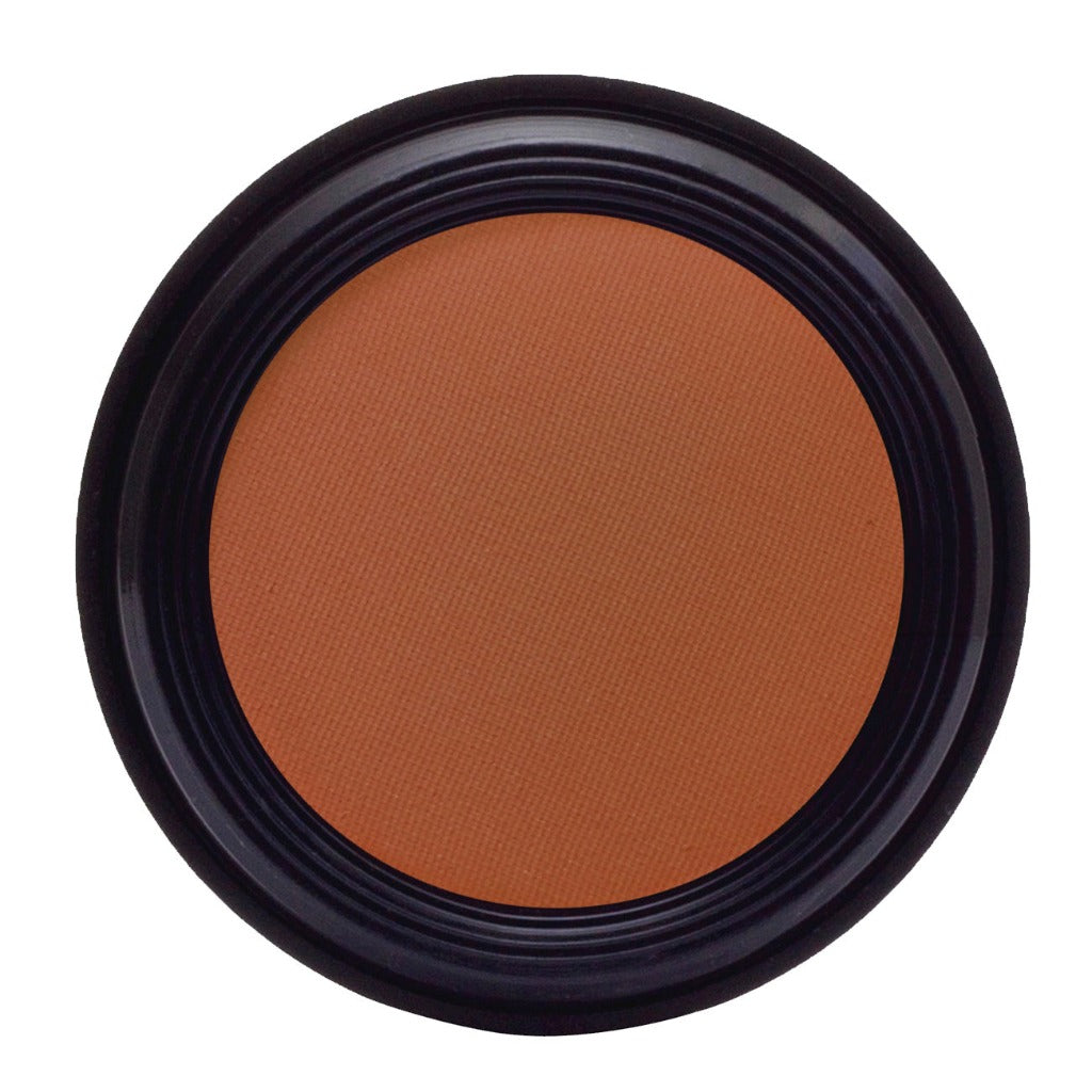 Bronze Powder Blush