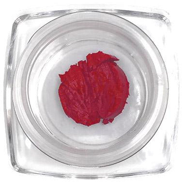 Lipstick (Romantic Red) Sample Size