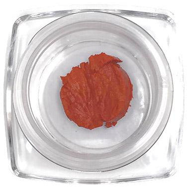 Lipstick (Sun Kissed) Sample Size